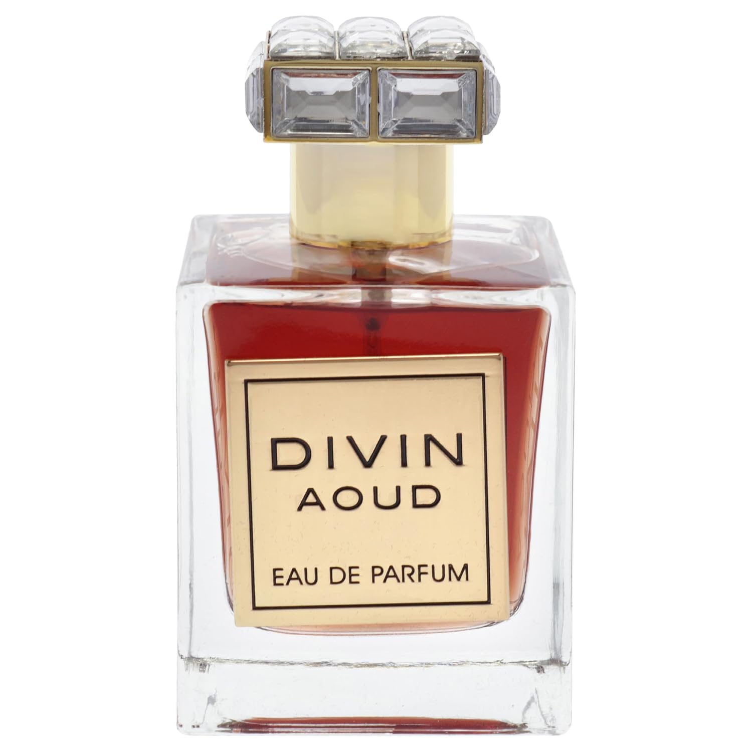 Fragrance World Divin Aoud EDP 3.4 oz